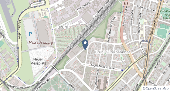Karte: Paul-Ehrlich-Straße 17, Freiburg im Breisgau